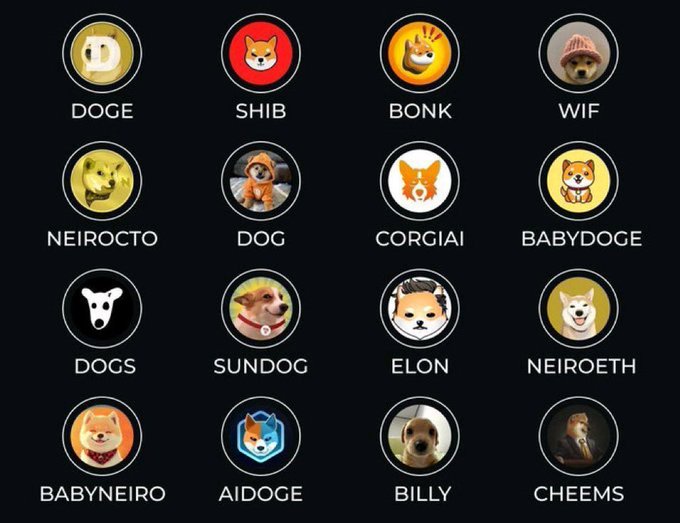 The image features a collection of twelve different dog faces, each with their own unique characteristics or expressions. These faces are arranged in a circular pattern, creating an eye-catching display that captures attention. The dogs appear to be wearing various types of hats, adding to the overall visual appeal and fun atmosphere of the post.