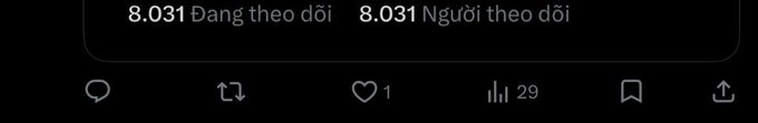 Twitter/X interface snippet showing follower counts '8.031 Đang theo dõi / 8.031 Người theo dõi' (Vietnamese) with 1 like and 29 views on a post.
