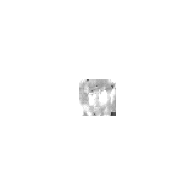 The image features a small picture of an animal that looks somewhat like a person, but with no facial features or other characteristics typical of human beings. This abstract illustration has been used as an image for a post about fake animals and digital art on social media platforms such as artificialdb03.artificial.han.io. The post states: "Artificial DB03 bought for 0.79 ETH by 0xc23c..88b1 from 0x1cf8..aef7 artificial.han.io/0x6cd317574c99".