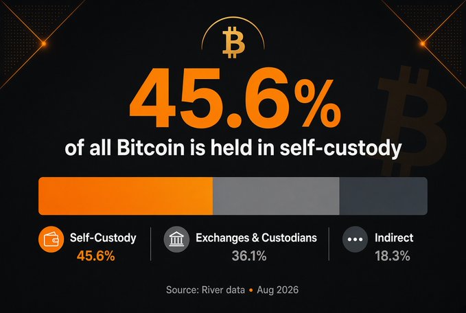 An infographic showing that 45.6% of all Bitcoin is held in self-custody, with 36.1% in exchanges and custodians and 18.3% indirect, sourced from River data, August 2026.