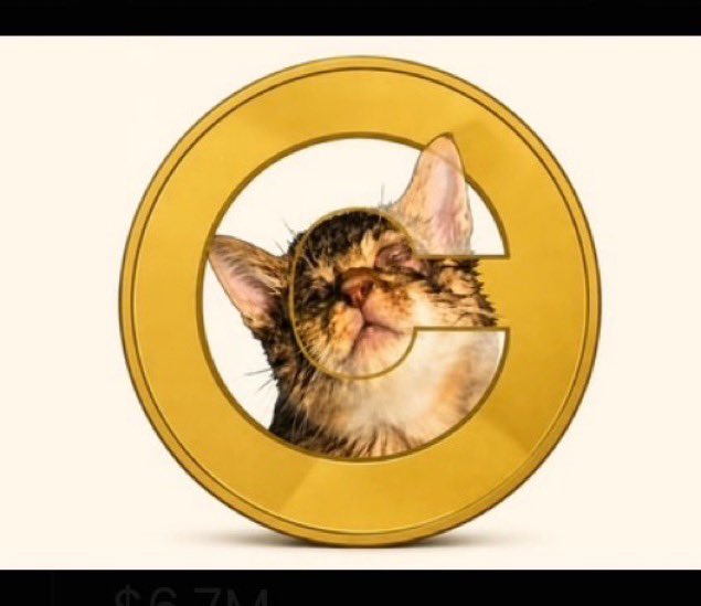 A gold cryptocurrency coin featuring a cat's face inside a C-shape with "$6.7M" text visible below.