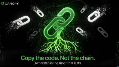The image shows a Canopy Network advertisement featuring glowing green interconnected chain links with roots growing downward, surrounded by smaller white chain links. The text reads "Copy the code. Not the chain" and "Ownership is the meat that lasts."

The graphic reinforces the post's message by visually emphasizing that while code (the white, scattered links) can be replicated, the rooted chain (representing ownership, identity, and community) cannot be copied, illustrating why Canopy Network's model of giving each project its own chain preserves what truly matters to builders.