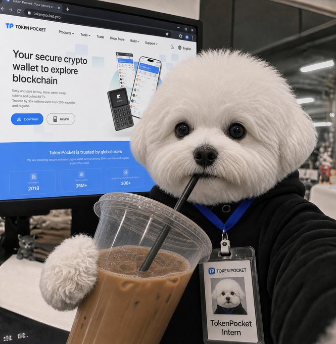 A white fluffy dog mascot wearing a black hoodie and a "TokenPocket Intern" badge holds an iced coffee cup in front of a computer screen displaying the Token Pocket website for secure crypto wallets.