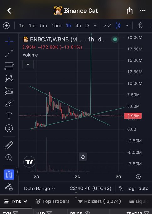 A TradingView chart for 'Binance Cat' showing the BNBCAT/WBNB pair with a price of 2.95M, down 13.81%, displaying volume spikes and trend lines.
