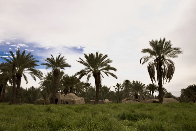 A scenic landscape showing a lush green grassy field with tall palm trees and small stone huts or shelters in the background under a partly cloudy sky.