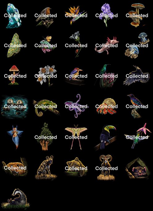 A collection grid of 31 illustrated nature items—including mushrooms, birds, flowers, insects, and wildlife—each marked with a "Collected" label, corresponding to the "Nature Studies" series mentioned in the post, which notes only 5 out of 31 are currently available at 0.06 ETH each.