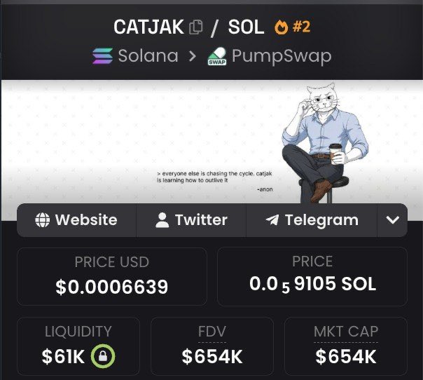 A cryptocurrency tracking page displaying the $CATJAK token on Solana via PumpSwap, showing a price of $0.0006639 (~0.00059105 SOL), $61K liquidity, and a $654K market cap, alongside an image of a cool cat character with the quote "everyone else is chasing the cycle, catjak is learning how to outine it — anon." The image supports the post's bullish claim that $CATJAK is primed for a 7-figure breakout as the trending cat token.