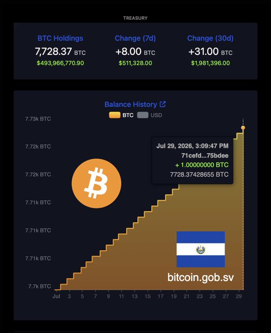 A treasury dashboard displays El Salvador's Bitcoin holdings at 7,728.37 BTC (~$493.9 million), with a +8 BTC increase over 7 days and +31 BTC over 30 days. A balance history chart from bitcoin.gob.sv shows steady accumulation throughout July, with the latest purchase on July 29, 2026 adding exactly 1.00000000 BTC—visually confirming El Salvador's continued Bitcoin buying strategy.