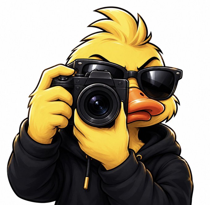 A digital illustration of a yellow cartoon duck wearing black sunglasses and a black hoodie, holding a camera up to its face as if taking a photograph.