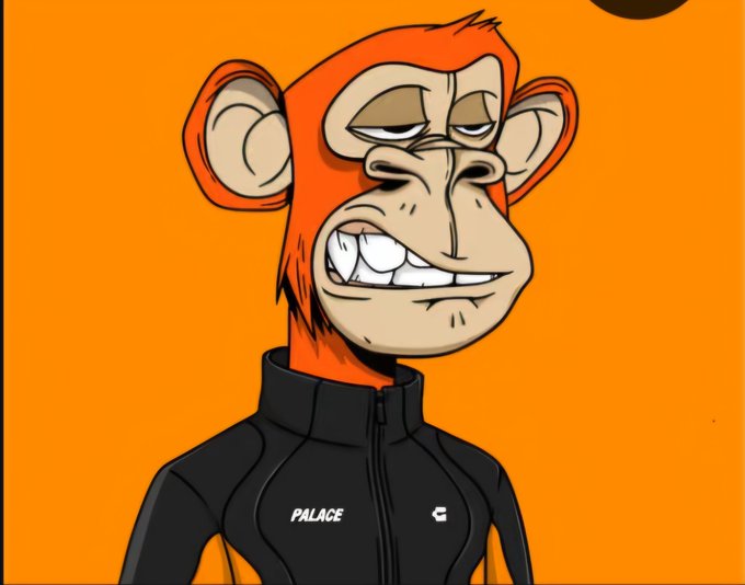 A digital illustration shows a bored-looking ape character wearing a black jacket labeled 'PALACE' against an orange background.