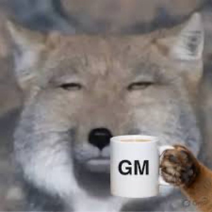 A meme image showing a tired-looking Shiba Inu dog wearing a cap and holding a white mug that says 'GM'.