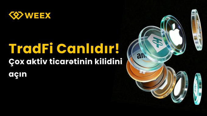 The image features a stack of glass coins, with one coin being larger than the others. The text "TradFi Canırdir!" is displayed above the coins, along with the website "weex.tech" and the hashtag "#WEEX".