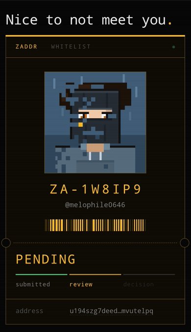 A pixel art profile card reading 'Nice to not meet you.' with the username 'ZADDR', the code 'ZA-1W8IP9', a pending status at 'review' stage, and a Bitcoin address.