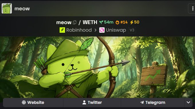 A DexScreener page for the meme token 'meow' paired with WETH, showing a Robinhood to Uniswap V3 route with a green cat archer character illustration.
