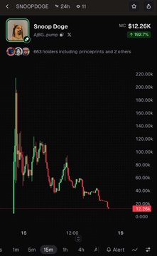 A stock chart for SNOOPDOG (Snoop Doge) showing a price of $12.26K with a +162.7% increase.
