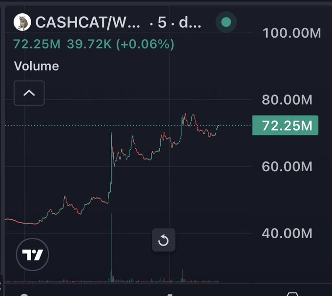 A TradingView chart displays the CASHCAT/W token on a 5-day timeframe, showing volume trending upward to 72.25M (a 0.06% increase) with a current value of 39.72K. The image accompanies a bullish prediction that the token, currently trading at $0.07, could reach $1+ to hit a $1 billion market cap.