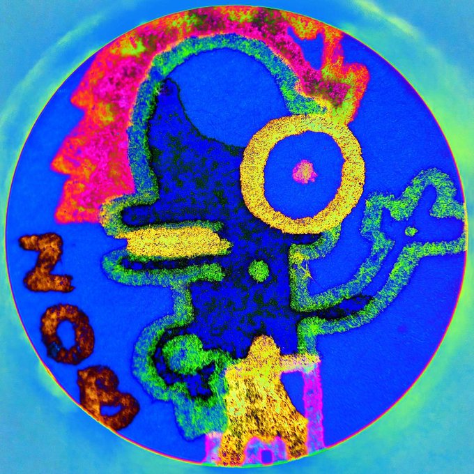 A vibrant, neon-colored circular illustration in psychedelic style, depicting a stylized face with a large yellow eye and the letters 'ZOB' on a blue background.