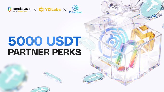 A promotional banner for "5000 USDT PARTNER PERKS" featuring logos for renoiss.xyz (Built on BNB CHAIN), YZiLabs, and EchoHunt, alongside a glass gift box with crypto coins.