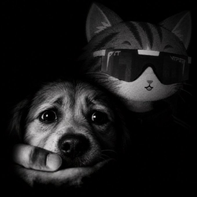A black and white digital illustration depicts a sad-looking dog with a plush cat toy wearing 'PIT VIPER' sunglasses resting on its head, with a hand supporting its chin.