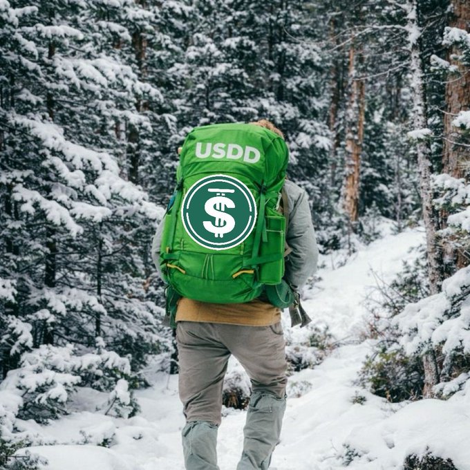 A person viewed from behind, wearing a green backpack displaying the USDD token logo, hiking through a snowy forest trail.