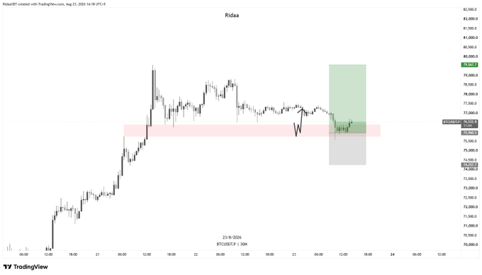 A TradingView chart for BTC/USDT showing candlestick price movement on August 23, 2024, with technical analysis markings including pink and green highlighted zones.