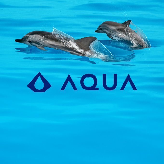 Two dolphins glide through bright blue water above the "AQUA" logo, playfully illustrating the post's message about AQUA pairing Bitcoin (Liquid_BTC) and Tether (USDT) for saving and transacting with stability and control.