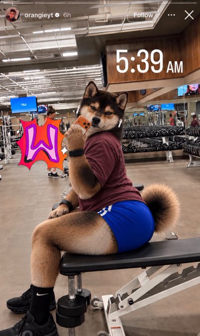 An Instagram story from 'orangieyt' shows a person in a Shiba Inu costume working out at a gym at 5:39 AM, using an orange phone propped up on the bench.