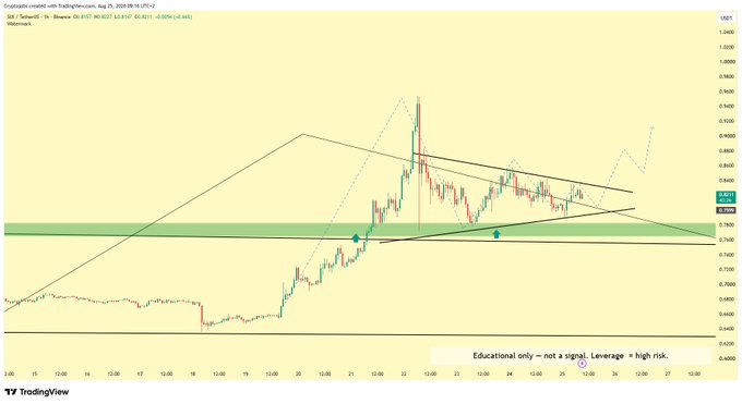 A TradingView candlestick chart for the SUI/USDT pair on Binance, displaying price action in a symmetrical triangle pattern between approximately $0.78 and $0.88, with a green highlighted support zone around $0.79-$0.80 and a note stating 'Educational only - not a signal. Leverage = high risk.'
