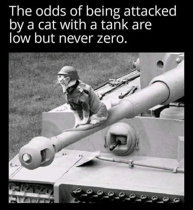 A black and white meme photo shows a cat wearing a military helmet perched on a tank's gun barrel, with text reading 'The odds of being attacked by a cat with a tank are low but never zero.'