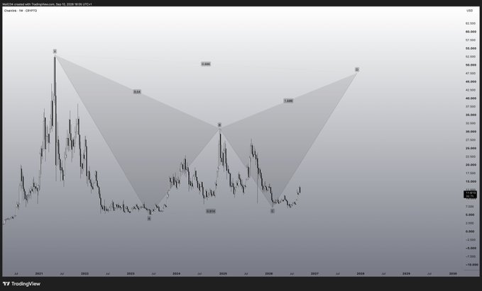 This TradingView chart shows Chainlink ($LINK) priced in USD on a weekly timeframe from 2022 to 2029, overlaid with bearish harmonic/bat pattern projections (labeled X, A, B, C) suggesting a potential dip toward $5–6 before a major rally toward $50–58, visually supporting the poster's confidence in holding LINK as a significant long-term position despite current downside forecasts.
