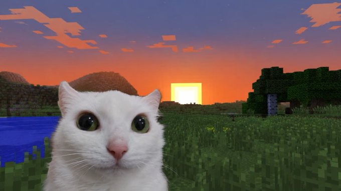 A white cat with green eyes overlaid on a Minecraft-style landscape featuring a pixelated sunset, blocky trees, and grassy terrain.