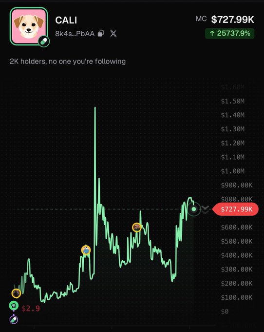 A price chart for the "CALI" token (contract 8k4s...PbAA) showing a market cap of $727.99K with a 25,737.9% gain, displaying a pattern of sharp spikes followed by consolidation phases — mirroring the Catcoin price action described in the caption, where the token hovered, spiked, pulled back, and recovered.