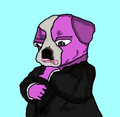 A simple cartoon drawing shows a pink and white dog character wearing a black hoodie, standing with arms crossed against a light blue background.