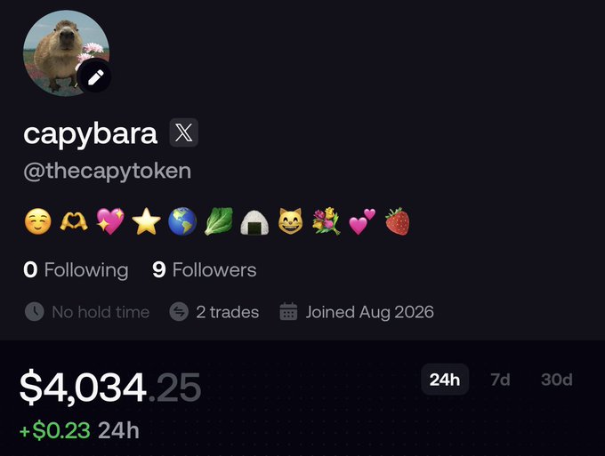 A capybara-themed crypto token profile (@thecapytoken) shows a portfolio value of $4,034.25 with only a $0.23 gain in 24 hours, suggesting the user is joking about their modest current holdings while dreaming of seven-figure profits.