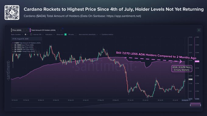 A Santiment chart titled 'Cardano Rockets to Highest Price Since 4th of July, Holder Levels Not Yet Returning' notes 4.62M ADA holders and a decline of 7,070 less ADA holders compared to 2 months ago.