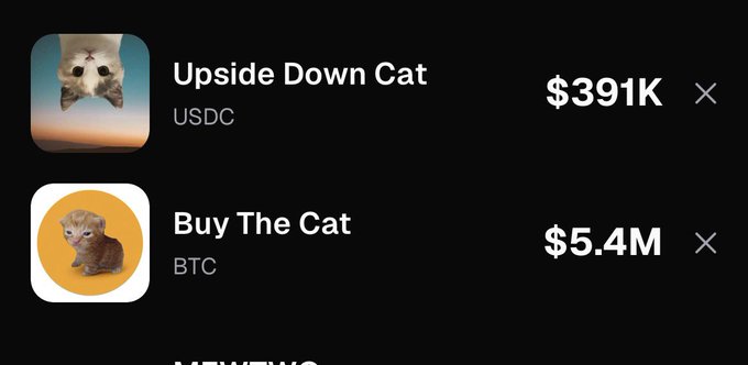 A screenshot showing two NFT listings: 'Upside Down Cat' priced at $391K (USDC) and 'Buy The Cat' priced at $5.4M (BTC).