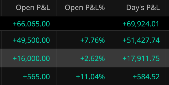 A dark financial dashboard displays Open P&L and Day's P&L figures in green, showing values like +66,065.00 and +69,924.01 in the top row, with percentage gains of +7.76%, +2.62%, and +11.04% in the rows below.