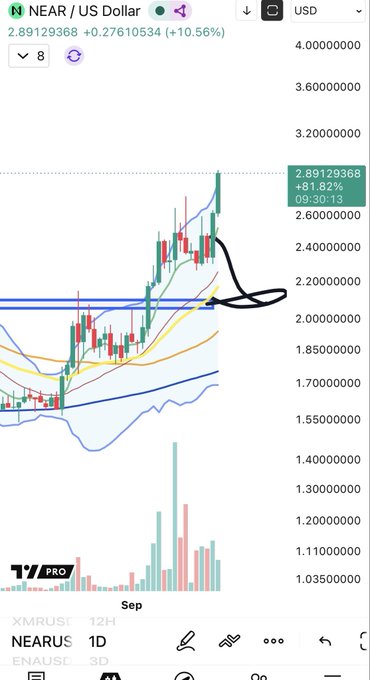 A TradingView chart shows NEAR/USD on the daily timeframe at $2.89, up 10.56% (+$0.28), with the price pushing into fresh local highs near a horizontal resistance zone around $2.10–$2.20 (highlighted by a hand-drawn black arrow), consistent with the post noting NEAR is challenging its June peak.