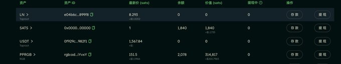 The image shows a dark-themed cryptocurrency portfolio dashboard listing four assets: LN (e04bbc...89f9f6) at 8.293, SATS (0x0000...000000) with 1,840 sat holdings, USDT at 1,567.84, and PPRGB (rgbod...1YvxY) at 151.5 with 2,078 token balance and 314,817 sat value—directly reflecting the post's reference to PPRGB's holdings and recent price gain.