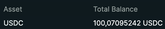 A cryptocurrency wallet display showing an asset balance of 100.07095242 USDC.
