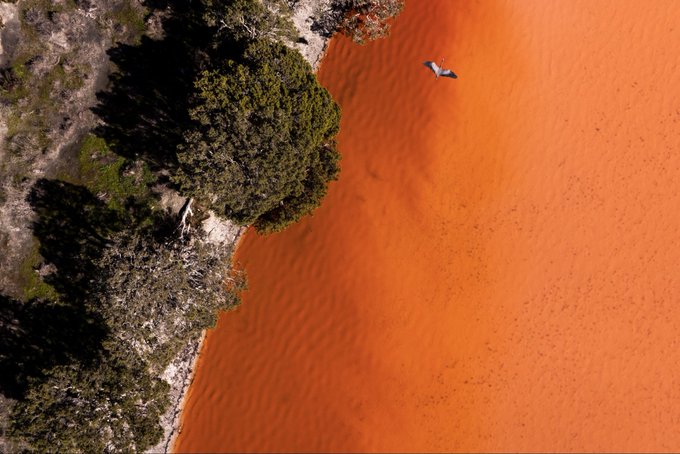 An aerial shot captures a bird flying over a striking orange-colored body of water bordered by dark green vegetation. The vibrant, almost surreal landscape—likely a salt lake or mineral-rich pond—complements the post's admiration for stunning natural beauty and adventurous photography.