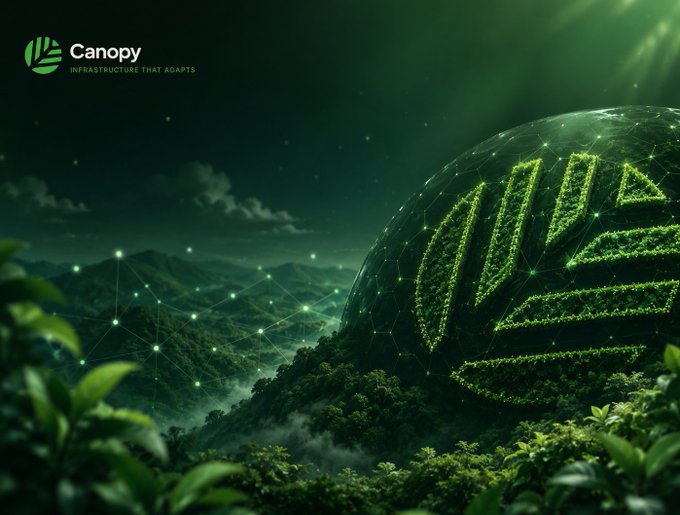 A dark green landscape features a forested mountain with a glowing geometric dome overlay and the logo "Canopy - INFRASTRUCTURE THAT ADAPTS" in the top left corner.