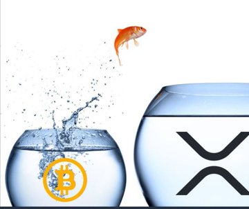 A goldfish leaps from a small bowl labeled with the Bitcoin "₿" symbol into a larger bowl marked with the XRP logo, illustrating the flow of capital from Bitcoin to XRP as referenced in the post about XRP spot ETFs seeing net inflows while BTC ETFs experienced outflows.