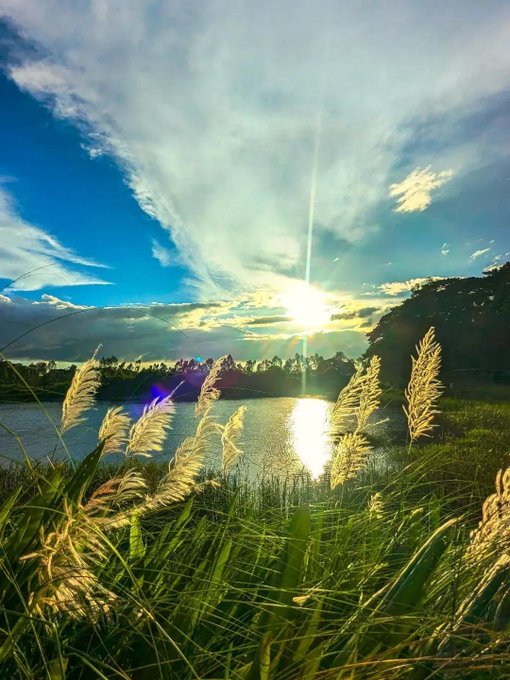 A scenic sunset over a lake, with golden reeds swaying in the foreground and the sun casting rays through scattered clouds.