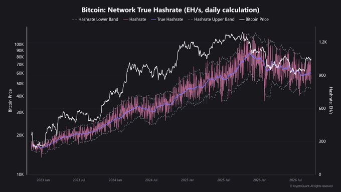 A financial chart titled 'Bitcoin: Network True Hashrate (EH/s, daily calculation)' showing the Bitcoin Price (white line) and Hashrate trends from 2023 Jan to 2026 Jul on a dark background.