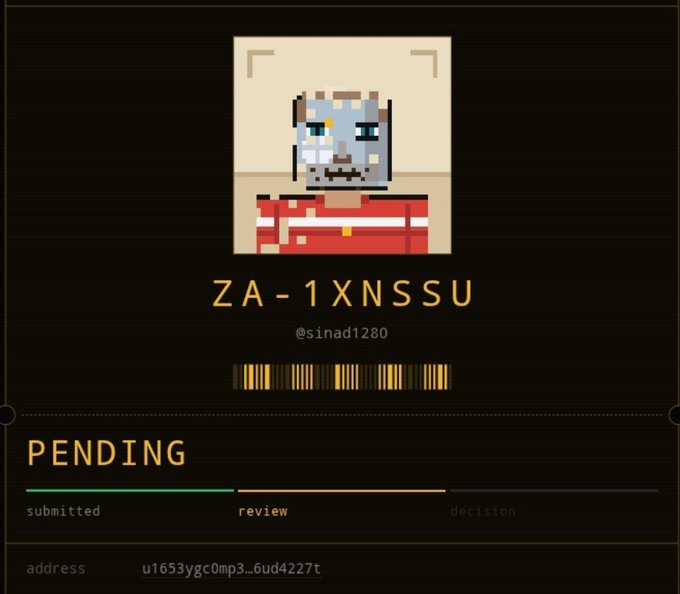 A digital review card displays a pixel art skull character above the code 'ZA-1XNSSU' with the username '@sinad1280' and a 'PENDING' status on a dark background.