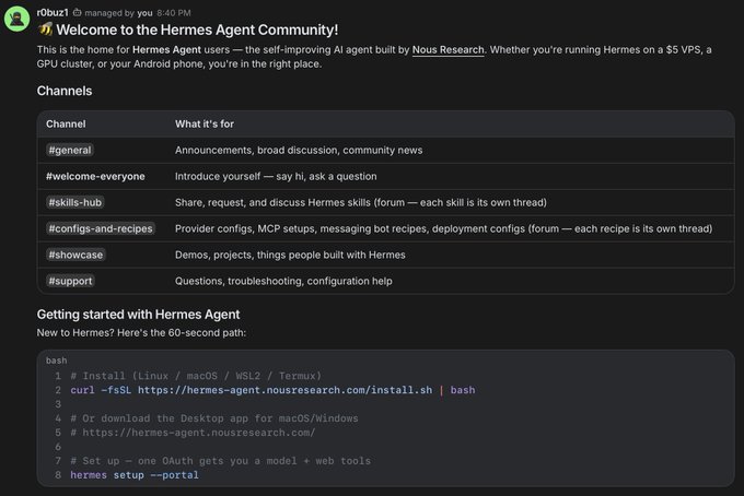 A Discord welcome screen for the "Hermes Agent Community" managed by "r0bzu", listing channels like #general, #skills-hub, and #showcase, along with installation commands for Linux/macOS/WSL/Termux.