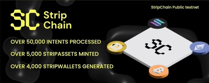 A promotional banner for StripChain's Public Testnet displays key milestones including "OVER 50,000 INTENTS PROCESSED," "OVER 5,000 STRIPASSETS MINTED," and "OVER 4,000 STRIPWALLETS GENERATED," alongside the StripChain logo and a 3D diamond graphic surrounded by chain icons. The banner visually reinforces the post's message by highlighting StripChain's chain-abstracted infrastructure achievements—showcasing unified accounts and programmable intents as tangible testnet results.