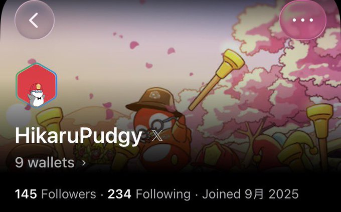 A profile screen for 'HikaruPuddy' on a social platform showing 9 wallets, 145 Followers, 234 Following, and Joined 9月 2025, with a cartoon Pokémon-themed background featuring a Magikarp.