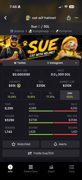 A mobile screenshot shows a crypto trading page for "Sue/SOL" (cat wif helmet) with a price of $0.0003190 and $310K market cap, highlighting how the coin named "catwifhelmet" saw a 102% gain in 24 hours and 77.31% in 6 hours, directly illustrating the post's point about the token's rapid rise.